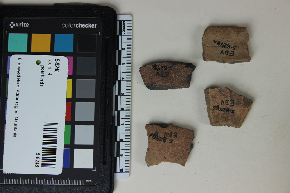 Hearst Museum object titled Potsherds, accession number 5-8248, described as Sherds; stamped parallel lines meeting same at 23 degree angle