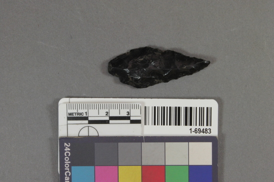 Hearst Museum object titled Point, accession number 1-69483, described as point, obsidian; l. 4.9cm, w. 2cm