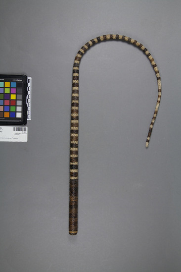 Hearst Museum object titled Whip, accession number 10-3294, no description available.