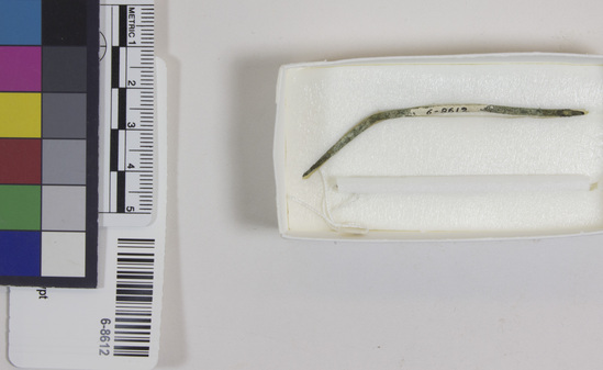 Hearst Museum object titled Needle, accession number 6-8612, described as Copper needle, bent, Length 7 cm.