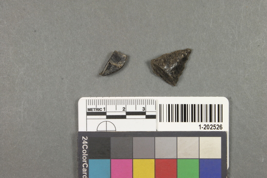 Hearst Museum object titled Point fragment and flake, accession number 1-202526, described as Point fragment and chip.