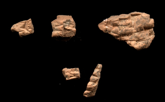 Hearst Museum object 2 of 2 titled Cuneiform tablet, accession number 9-2835, described as Mesopotamian cuneiform tablet