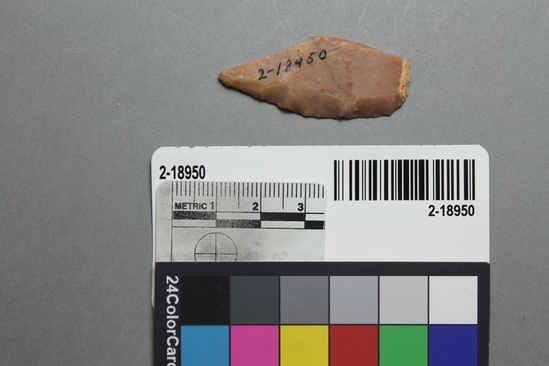 Hearst Museum object titled Point fragment, accession number 2-18950, described as Chert point fragment.