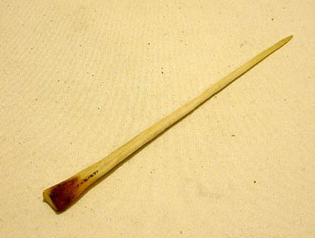 Hearst Museum object titled Awl, accession number 1-21671, described as Long slender awl of deer bone, point blunted.