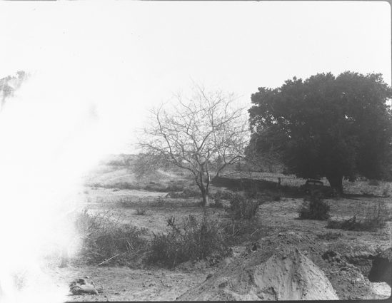 Hearst Museum object titled Black-and-white negative, accession number 15-16656, no description available.