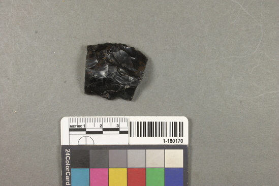 Hearst Museum object titled Knife, accession number 1-180170, described as Obsidian, fragment