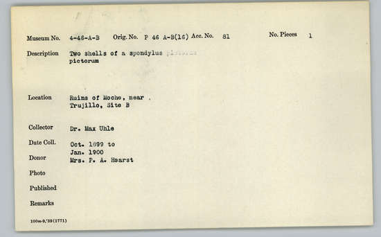 Documentation associated with Hearst Museum object titled Shell, accession number 4-46b, described as Two shells of spondylus pictorum.