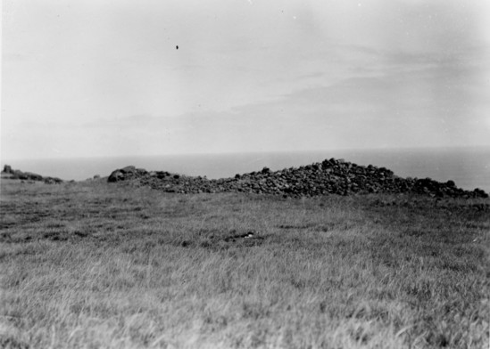 Hearst Museum object titled Black-and-white negative, accession number 15-11766, described as Ahu Atuopina