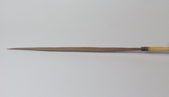 Hearst Museum object titled Arrow, accession number 16-560, described as Arrow, smooth hardwood tip, cane shaft, feathers in poor condition