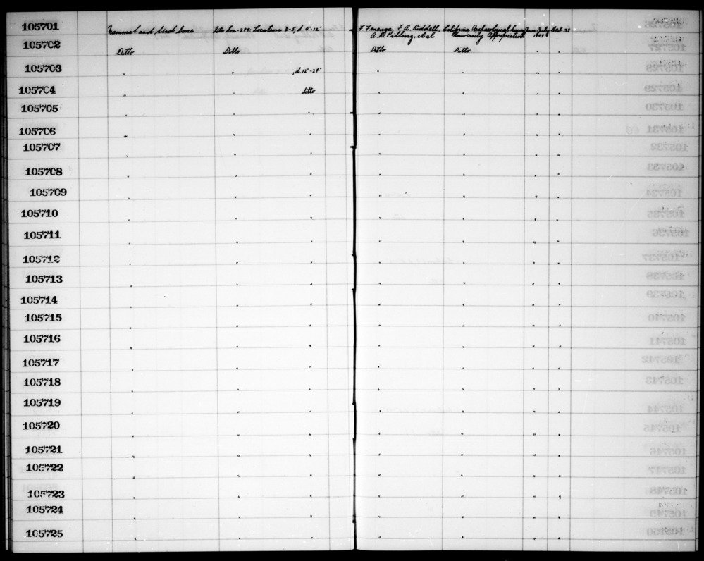 Documentation associated with Hearst Museum object titled Faunal remains, accession number 1-105723, described as Mammal and bird.