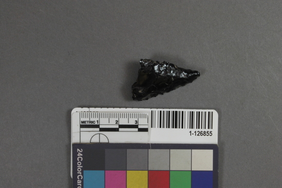 Hearst Museum object titled Projectile point fragment, accession number 1-126855, described as Obsidian projectile point fragment.