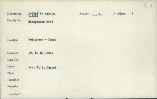 Documentation associated with Hearst Museum object titled Woodpecker head, accession number 1-4443, described as woodpecker head