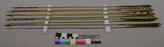 Hearst Museum object titled Arrows, accession number 1-1448a-j, described as Arrows