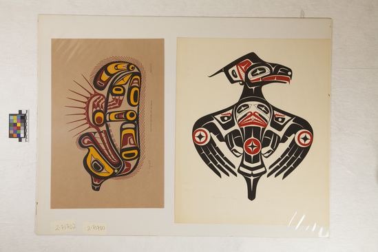 Hearst Museum object titled Print, accession number 2-71702, described as Silkscreen print; black yellow, and red; titled “Kwa-Gulth Sea oOtter with Sea Urchin”; numbered 283 out of 400; dated (19)58, signed by artist, Tony Hunt.