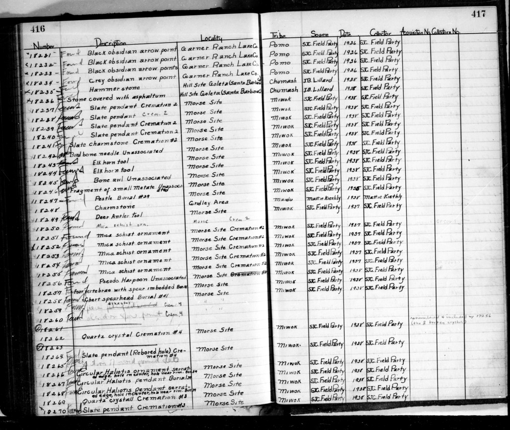 Documentation associated with Hearst Museum object titled Needle, accession number L-18242, described as Bird bone needle.