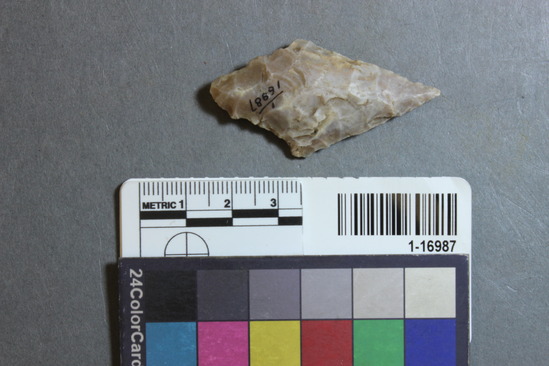 Hearst Museum object 16 of 28 titled Points, accession number 1-16987, described as Chipped points of flint, chert, etc.