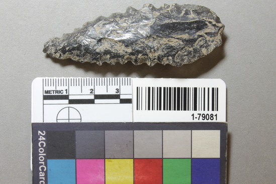 Hearst Museum object titled Point, accession number 1-79081, described as Obsidian.