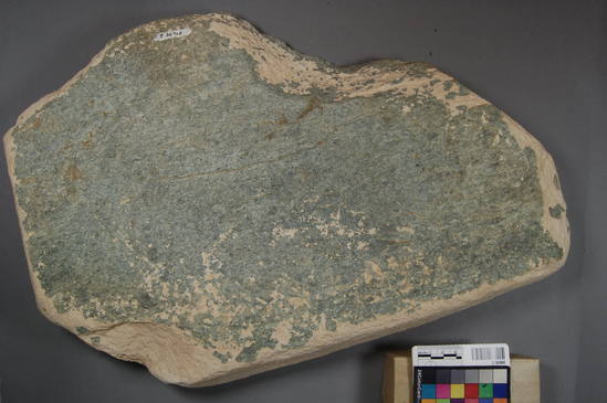 Hearst Museum object titled Metate, accession number 2-36968, described as Metate of gray-green schist-shallow basin worn on both sides