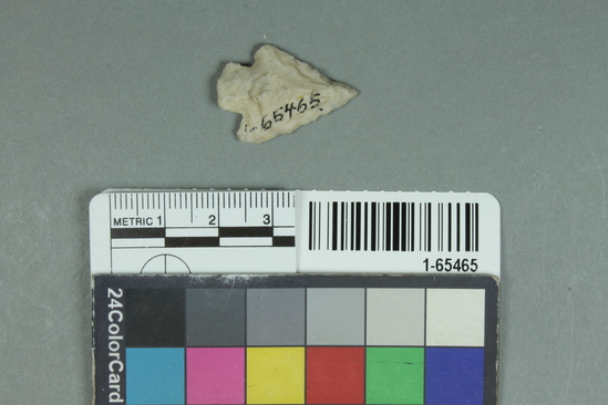 Hearst Museum object titled Point, accession number 1-65465, described as Type SBb: chert