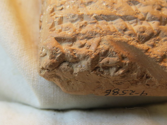 Hearst Museum object 104 of 132 titled Cuneiform tablet, accession number 9-2586, described as Neo-Babylonian Document from Erech