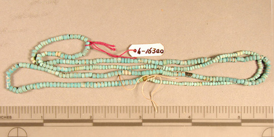 Hearst Museum object titled Beads, accession number 6-16300, described as Beads: string of blue shell discs, l. 42 cm. open.