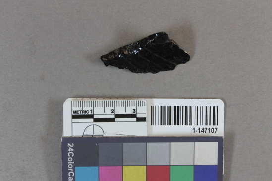 Hearst Museum object titled Flake, accession number 1-147107, described as worked obsidian frag.