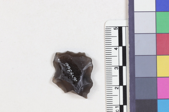 Hearst Museum object titled Projectile point fragment, accession number 16-14366, described as Projectile point fragment; obsidian; triangular; weight: 3.38 grams; length: 2.35 cm; width: 2.06 cm; depth: 0.64 cm; irregular sides.