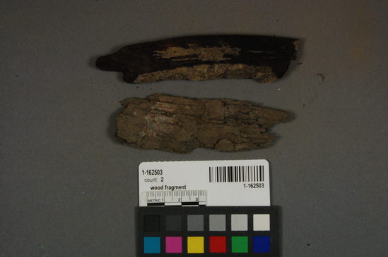 Hearst Museum object titled Wood fragment, accession number 1-162503, described as wood scrap