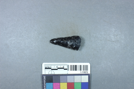 Hearst Museum object titled Projectile point fragment, accession number 1-119372, described as Obsidian projectile point fragment.