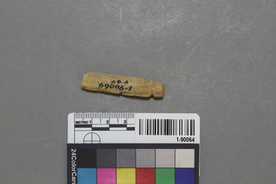 Hearst Museum object titled Modified bone, accession number 1-90064, described as Notched bone.