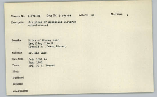 Documentation associated with Hearst Museum object titled Worked shell, accession number 4-980, described as Cut piece of Spondylus pictorum, chisel-shaped.