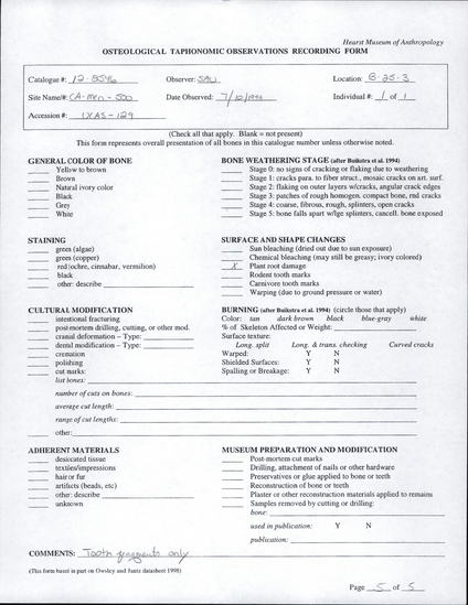 Documentation associated with Hearst Museum object titled Human remains, accession number 12-8546, described as Deciduous tooth fragments of an infant of indeterminate sex, aged 1 year ± 4 months.