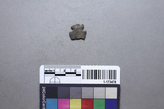 Hearst Museum object titled Point, accession number 1-173478, described as Projectile point fragment.