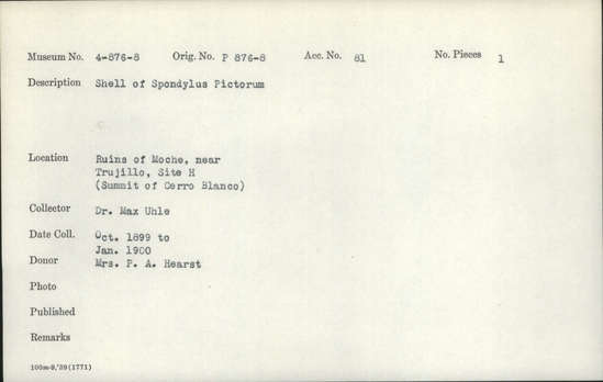 Documentation associated with Hearst Museum object titled Shell, accession number 4-876, described as Shell of Spondylus pictorum.