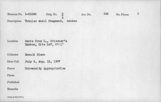 Documentation associated with Hearst Museum object titled Shell fragment, accession number 1-31098, described as Tubular, broken.