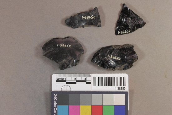 Hearst Museum object titled Projectile points, accession number 1-38650, described as Obsidian.