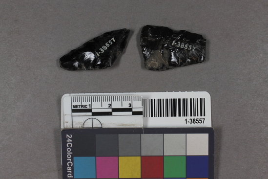 Hearst Museum object titled Projectile points, accession number 1-38557, described as Obsidian.