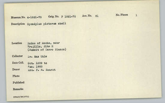 Documentation associated with Hearst Museum object titled Shell, accession number 4-1873, described as Spondylus pictorum shell.