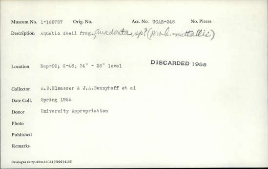 Documentation associated with Hearst Museum object titled Shell fragment, accession number 1-168787, described as Aquatic; "Anadonta sp? (prob. nuttallii)" added in pencil.