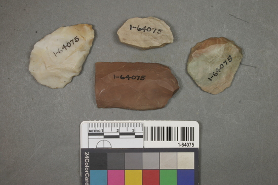 Hearst Museum object titled Scrapers, accession number 1-64075, described as Chert