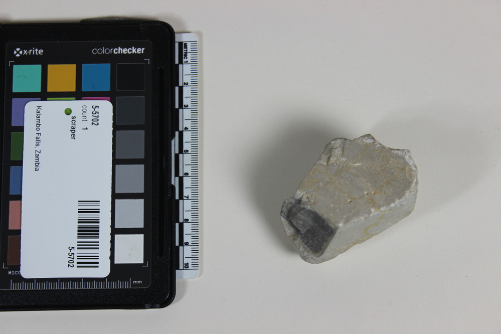 Hearst Museum object titled Scraper, accession number 5-5702, described as chert core scraper; length 6 cm