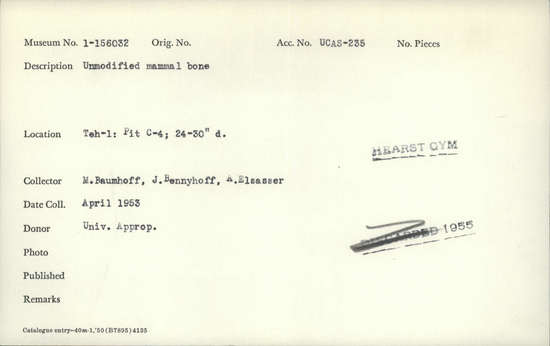 Documentation associated with Hearst Museum object titled Faunal remains, accession number 1-156032, described as Unmodified, mammal.