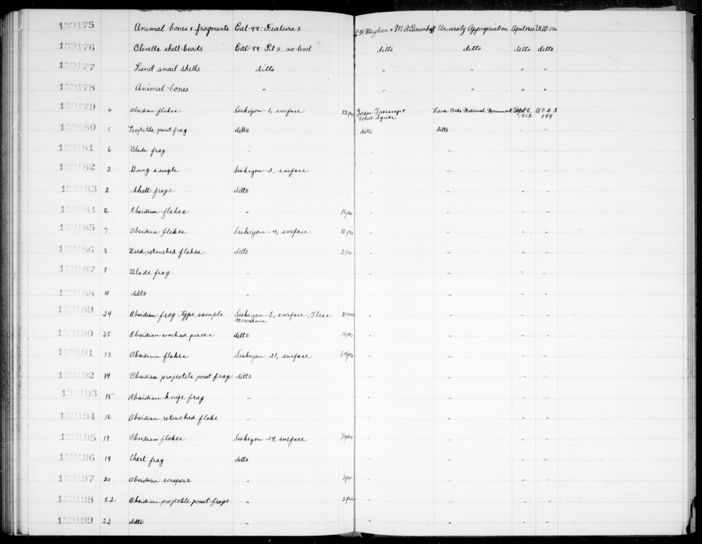 Documentation associated with Hearst Museum object titled Shell, accession number 1-139177, described as Land snail