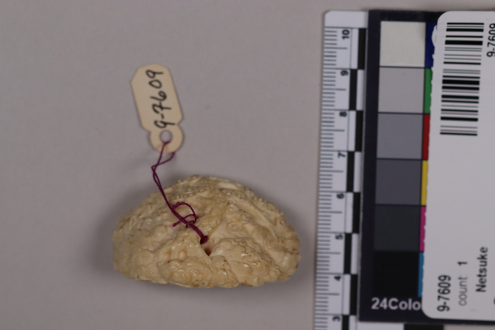 Hearst Museum object titled Netsuke, accession number 9-7609, described as Netsuke: man seated inside grotto formed by a tree. His left arm raised. Signed by Chōbu.  According to the donor's catalog: "Netsuke in old ivory of a grotto backed by a denoted and decorating tree. Within - a man is seated in strength and command. Clad in a sweeping robe - his left arm - raised - and the right hand caressing the back [untranscribable] dragon - who languishes with his head on the lap of the mighty man. Bashiko (Ma Hsi Wang) - a sennin and legendary Chinese physician who lived from 2697 to 2597 B.C. at the time of Huang Ti. He is shown performing operation on the ailing dragon - which he followed by a draught of liquorice. Sometimes he is shown carried into the clouds on the back of his grateful patient. It is a profound Netsuke of strength and archaic mysticism. Bashiko."