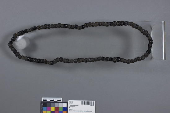 Hearst Museum object titled Necklace, accession number 11-40139, described as Necklace, wild banana seeds strung on white cotton thread. 38 cm overall.