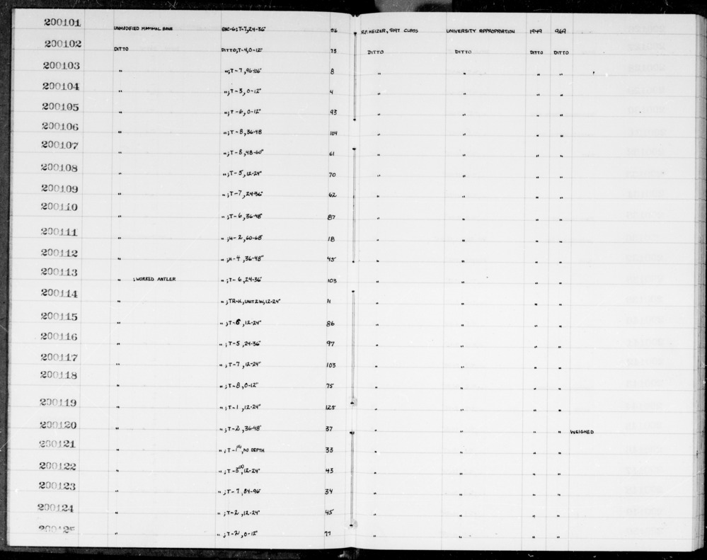 Documentation associated with Hearst Museum object titled Shell fragment, accession number 1-200115.1, described as shell fragment