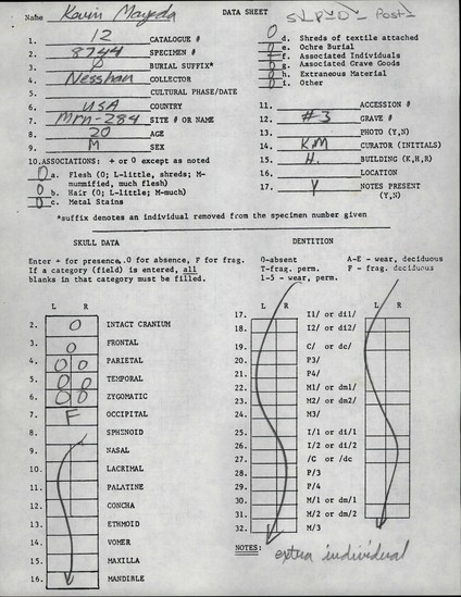 Documentation associated with Hearst Museum object titled Human remains, accession number 12-8744(0), described as Remains of one young adult (20 year old) male.