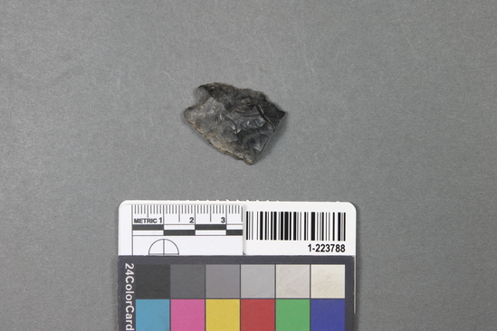 Hearst Museum object titled Projectile point fragment, accession number 1-223788, described as Obsidian.