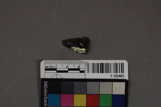 Hearst Museum object titled Projectile point fragment, accession number 1-192405, described as No description given on catalog card