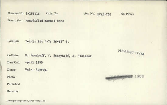 Documentation associated with Hearst Museum object titled Faunal remains, accession number 1-156116, described as Unmodified, mammal.